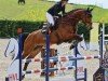 Springpferd Allegro 454 (Lettisches Warmblut, 2018, von Acordplus)