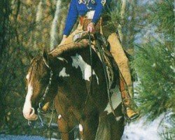 Pferd Fleet Machine (Paint Horse, 1991, von Mr. Norfleet)