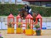 jumper Rose Du Marais DD (Belgian Warmblood, 2017, from Kannan)