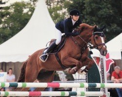 jumper Clinton (KWPN (Royal Dutch Sporthorse), 2007)