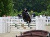 jumper Doretta (KWPN (Royal Dutch Sporthorse), 2008, from Vittorio)
