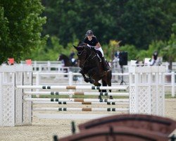 jumper Doretta (KWPN (Royal Dutch Sporthorse), 2008, from Vittorio)