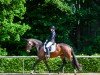 dressage horse Philou Diamond (KWPN (Royal Dutch Sporthorse), 2020, from Daily Diamond)