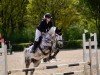 jumper Johnny Catch (Holsteiner, 2018, from Catch)