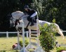 jumper Debby Grey (Holsteiner, 2011, from Mighty Magic)