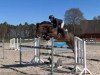 Springpferd Capitano AJ (Oldenburger, 2020)