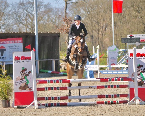 Springpferd Capitano AJ (Oldenburger, 2020, von Canoso)