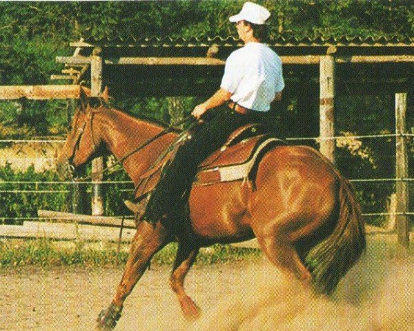 broodmare Red River Molly (Quarter Horse, 1987, from Topsail Cody)