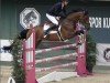 jumper Vesuvio 5 (Oldenburg show jumper, 2016, from Vancouver d'Auvray)