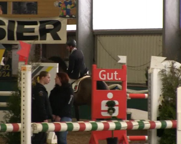 Hallenreitturnier Arnsberg-Voßwinkel 2014