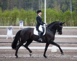 dressage horse Di Lapponia T (Hanoverian, 2001, from Donnerhall)