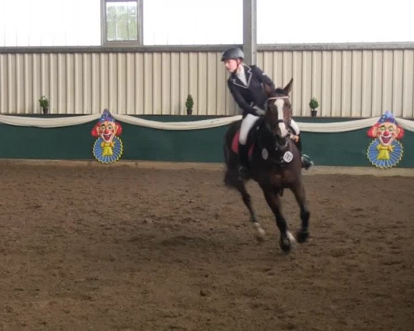 Hallenreitturnier Arnsberg-Voßwinkel 2014