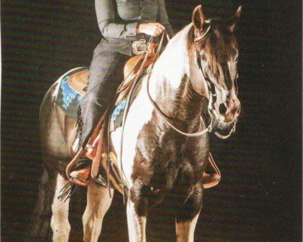 horse Dancing Boys Okie (Paint Horse, 2006, from Dancing Snow Boy)