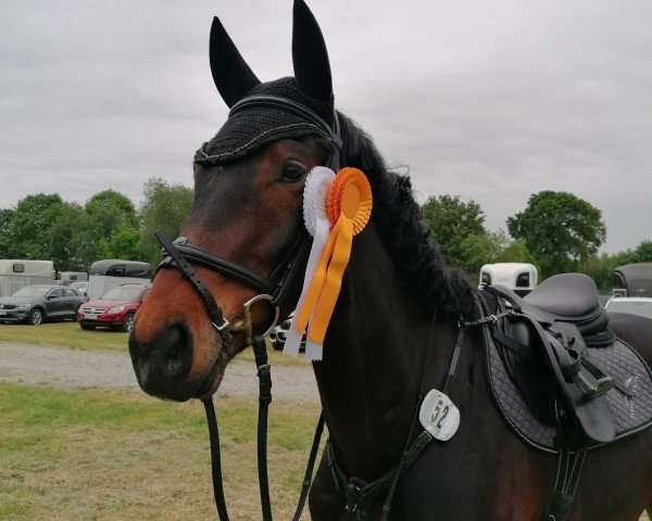 jumper Balerion R (Hanoverian, 2020, from Big Star)