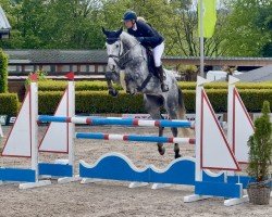 jumper Diacoeur (Hanoverian, 2019, from Diacontinus)