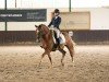 Dressurpferd Neil Diamond A (Deutsches Reitpony, 2014, von Fs Numero Uno)