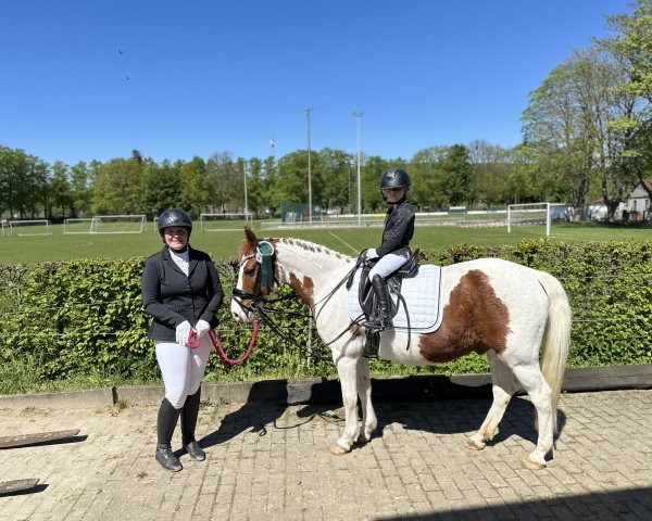 dressage horse Nautilo 2 (Lewitzer, 2003, from Nepomuk)
