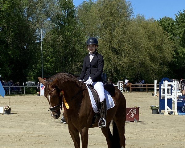 dressage horse Bonds Double Hs (Rhinelander, 2018, from Bonds)