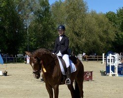 dressage horse Bonds Double Hs (Rhinelander, 2018, from Bonds)