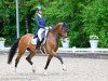 dressage horse Rocking Resi (Hanoverian, 2017, from Rock Springs)