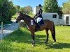 jumper Liquido 55 (German Sport Horse, 2010, from Auheim's La Quitol)
