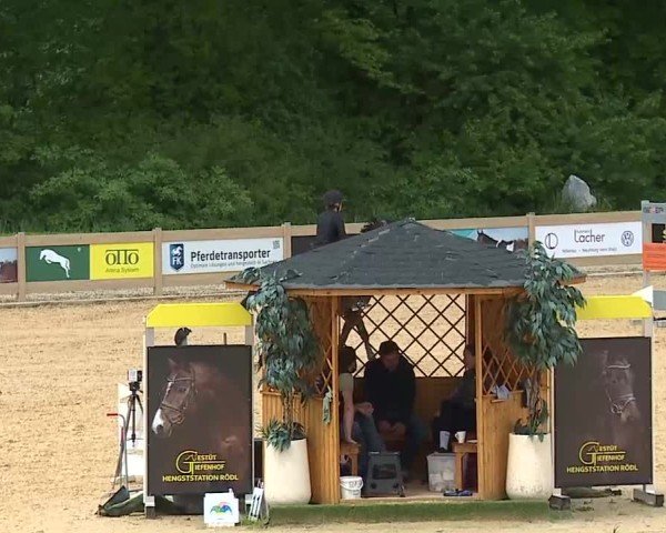 Reitturnier Tiefenhof/Opf. 2025