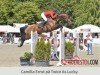 Springpferd Twice As Lucky (Schwedisches Warmblut, 2010, von Lucky Point)