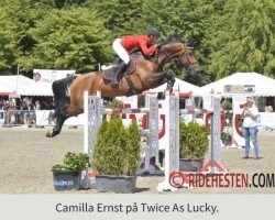 Springpferd Twice As Lucky (Schwedisches Warmblut, 2010, von Lucky Point)
