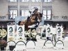 jumper Bella Olympic (Danish Warmblood, 2013, from Bonaparte Z)