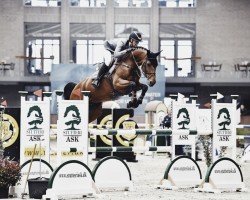 Springpferd Bella Olympic (Dänisches Warmblut, 2013, von Bonaparte Z)