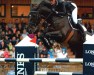 jumper Diamond 4 Ever (Danish Warmblood, 2003, from Diamant de Semilly)