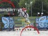 Springpferd Rivaro (Holsteiner, 1998, von Rheinsberg)