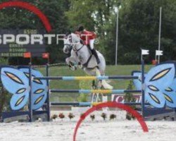 jumper Rivaro (Holsteiner, 1998, from Rheinsberg)