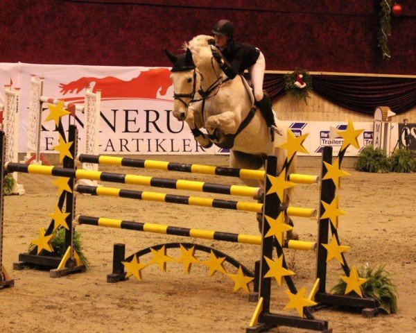 jumper Rivaro (Holsteiner, 1998, from Rheinsberg)