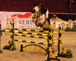Springpferd Rivaro (Holsteiner, 1998, von Rheinsberg)