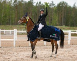 jumper Kataleis Isolde (Swedish Warmblood, 2010, from Diabeau)