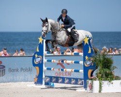 stallion Pessoa C (Belgian Warmblood, 2015, from Cicero Z van Paemel)