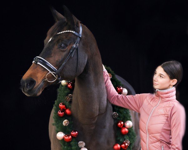 broodmare Baumann's Farina (Westphalian, 2006, from Farewell II)
