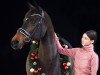broodmare Baumann's Farina (Westphalian, 2006, from Farewell II)