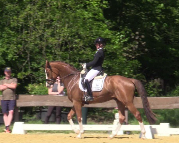 Reitturnier Wesel-Obrighoven 2025