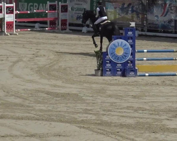 Reitturnier Preding 2025