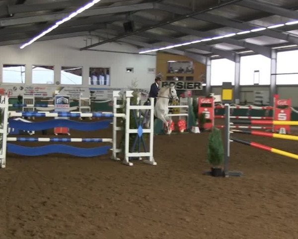 Hallenreitturnier Arnsberg-Voßwinkel 2014