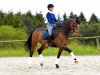 dressage horse Elegant 48 (KWPN (Royal Dutch Sporthorse), 2009, from Oscar)