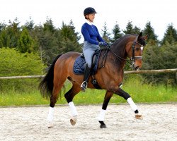 dressage horse Elegant 48 (KWPN (Royal Dutch Sporthorse), 2009, from Oscar)