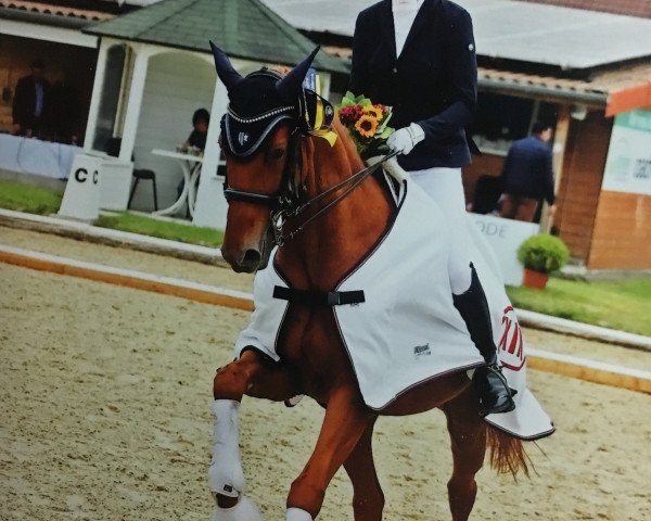 dressage horse Billy Jean MS (Hanoverian, 2004, from Belissimo NRW)