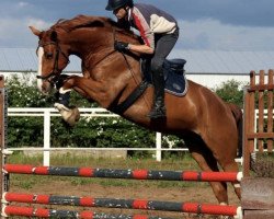 jumper Ninyago (German Sport Horse, 2015, from Ninyon)