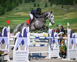 Springpferd Princess Helena (Holsteiner, 2015, von Clinton)