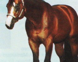 horse Sizzlin Zippo (Quarter Horse, 1993, from Zippo Pine Bar)