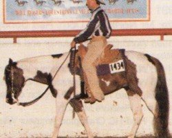 horse Mr Zip N Skip (Paint Horse, 1992, from Zippo Pine Bar)