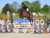 Springpferd Shamrock Hunter (Oldenburger Springpferd, 2020, von Hunter's Scendix)